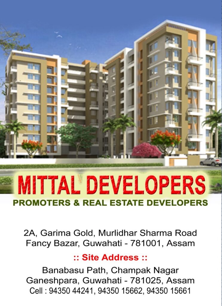 MITTAL DEVELOPERS